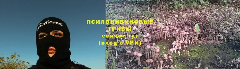 Галлюциногенные грибы Psilocybine cubensis  Инсар 